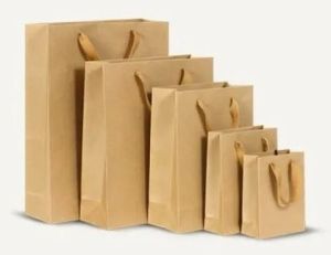Biodegradable Grocery Paper Bag