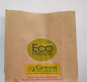 Biodegradable Printed Paper Bag