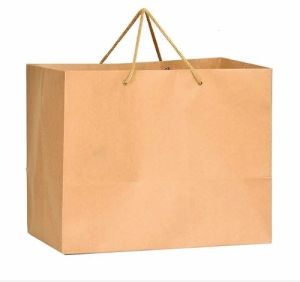 Brown Plain Eco Paper Bag Medium