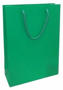 Recycled Kraft Green Plain Paper Shopping Bag Medium