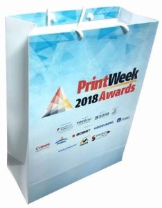 Art/kraft Promotional Printed Paper Bag Variable