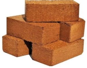 Cow Dung Bricks