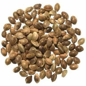 Hemp Seeds