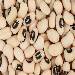 Black Eyed Beans, Packaging Type : PP/jute/sealed Pack for Cooking Use