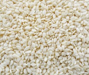 White Sesame Seeds, Certification : FSSAI Certified, Purity : 98%+
