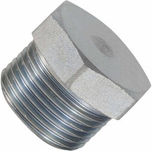 Stainless Steel 310 Forged Pipe Plug