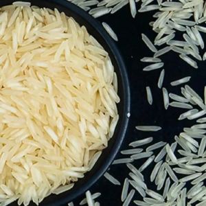 Pusa Basmati 1121, Color : White