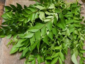 Deep Green Aromatic Curry Leaves, Packaging Size : 5-10kg