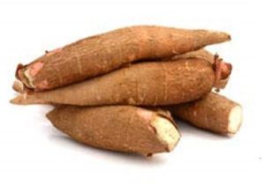 Fresh Farm Tapioca, Color : Brown Outer, White Inner Flesh