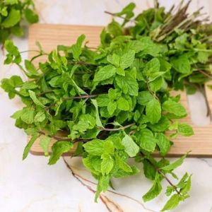 Fresh Green Mint Leaves, Packaging Size : 10-15kg for Cooking