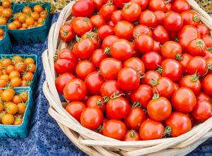 Fresh Red Tomato for Cooking, Salads, Juices