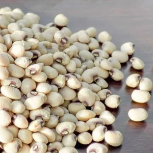 Protein Rich Cowpeas Seeds