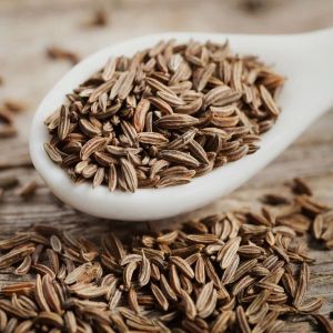Brown Organic Cumin Seeds, Seed Type : Natural Food Grade for Cooking