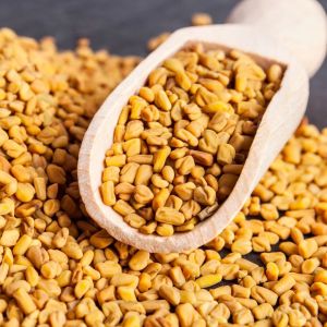 Yellow Organic Fenugreek Seeds, Seed Type : Natural Food Grade