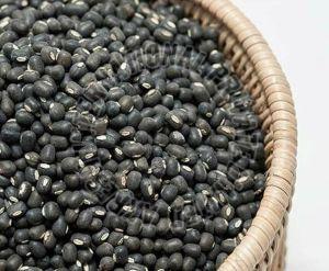 Black Natural Sabut Urad Dal, Packaging Size : 20Kg, 50Kg for Cooking