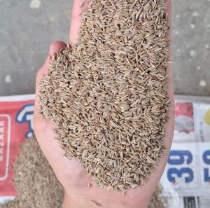Whole Brown Cumin Seeds, Quality Available : A Grade for Cooking Use