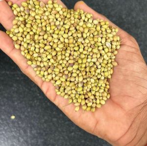 Whole Coriander Seeds <= 10%, Certification : FSSAI Certified