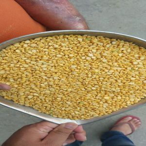 Yellow Arhar Dal