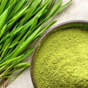 Blended Wheat Grass Powder, Color : Bright Green