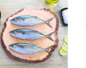 Frozen Fishes, Color : Silver for Human Consumption