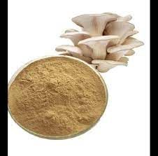 Dry Oyester Mushroom Powder