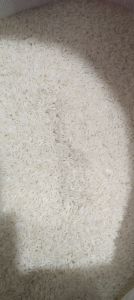 Soft Creamy White Short Grain Organic Non Basmati Rice