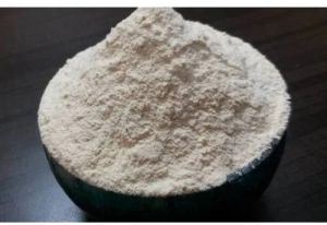 White Onion Powder