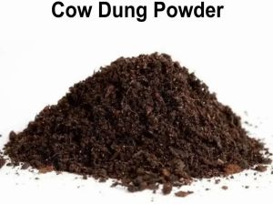 cow dung powder