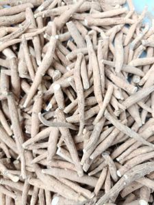 Organic Ashwagandha Root for Herbal Supplement