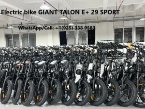 Giant E29 Talon Electric Bike