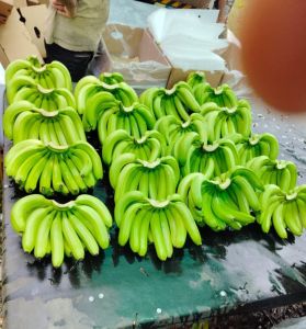 Fresh Banana Fruit