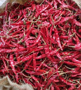 Teja S17 Dry Red Chilli, Packaging Size : 5-25kg Food Grade