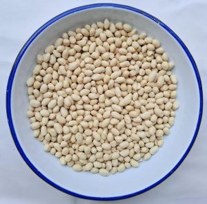 Roasted Blanched Peanuts