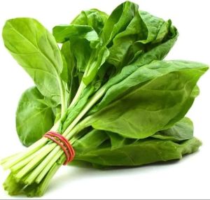 Fresh Buffalo Spinach Leaves