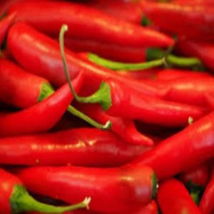 Fresh Red Chilli