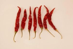 Teja Red Chilli, Packaging Size : 10Kg, 25Kg