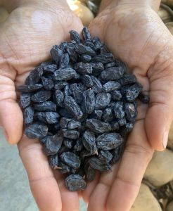 Premium Black Raisins