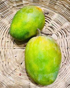 authentic rajapuri mangoes