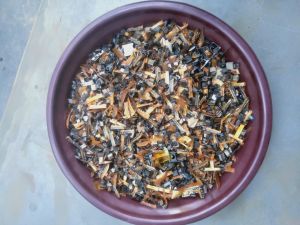 Android Camera Scrap