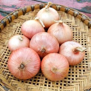 Fresh Pink Onion, Packaging Size : 25-50kg Gunny Bag for Cooking