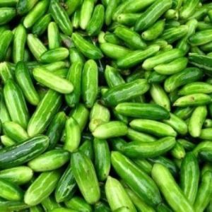 Green Fresh Ivy Gourd, Cultivation Type : Organic for Cooking