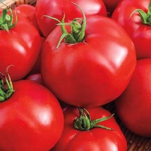 Fresh Red Tomato, Grade : Food Grade for Cooking