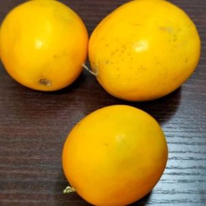 Organic Fresh Yellow Cucumber