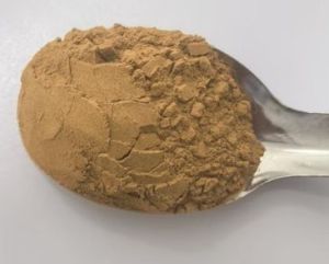 Ginkgo Biloba Extract