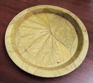 Sal Leaf Tiffin Plate 10 Inch, Color : Natural for Food Serving