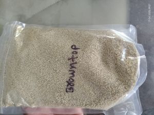 Browntop Millet