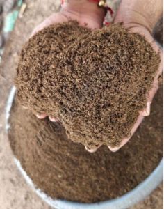 Cow Dung Powder
