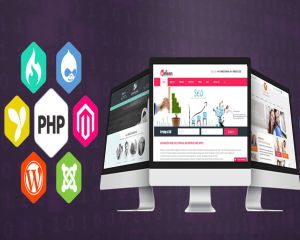 Dynamic Website Development Service