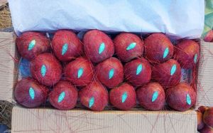 Kashmiri Red Apple, Packaging Size : 5Kg, 10Kg, 20Kg, 16Kg