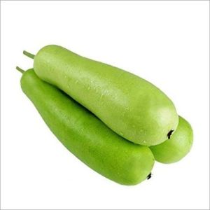 Green Fresh Bottle Gourd, Cultivation Type : Organic for Cooking